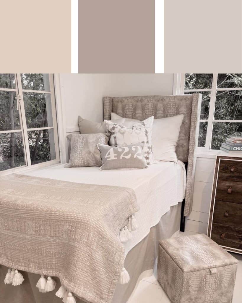 Neutral Dorm Room Color Scheme