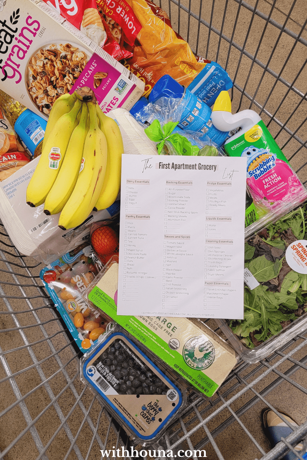 First Apartment Grocery List │All Kitchen Essentials You Need to Settle