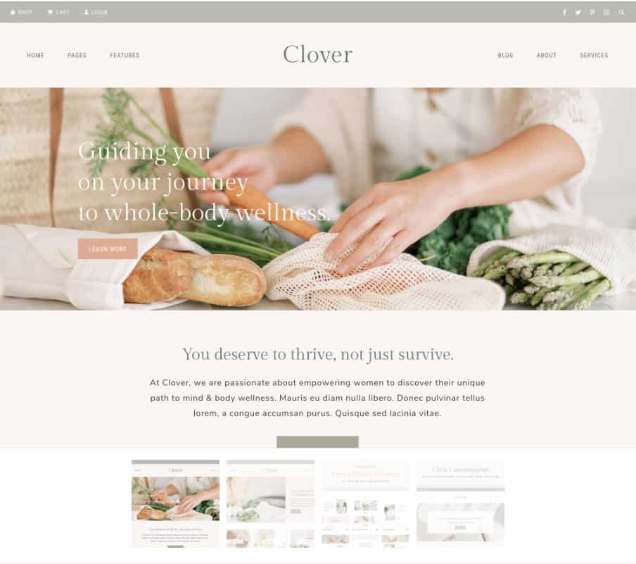 Clover WordPress theme you need in how to start a blog